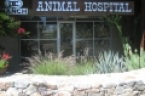 DC Ranch Animal Hospital